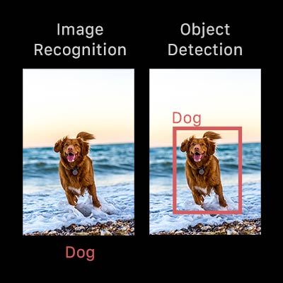 Compare detection vs recognition