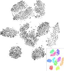 Output of t-SNE over the MNIST dataset