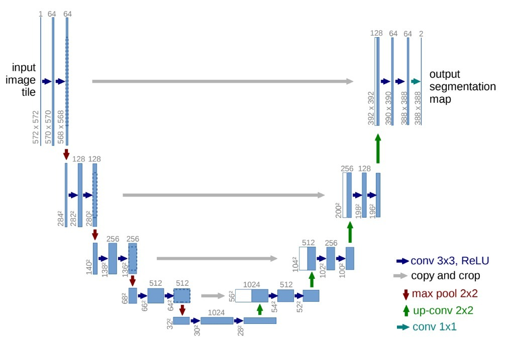 Segmentation of Medical Images