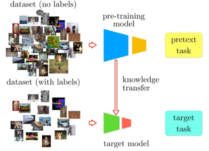 AI for Wireless Communication