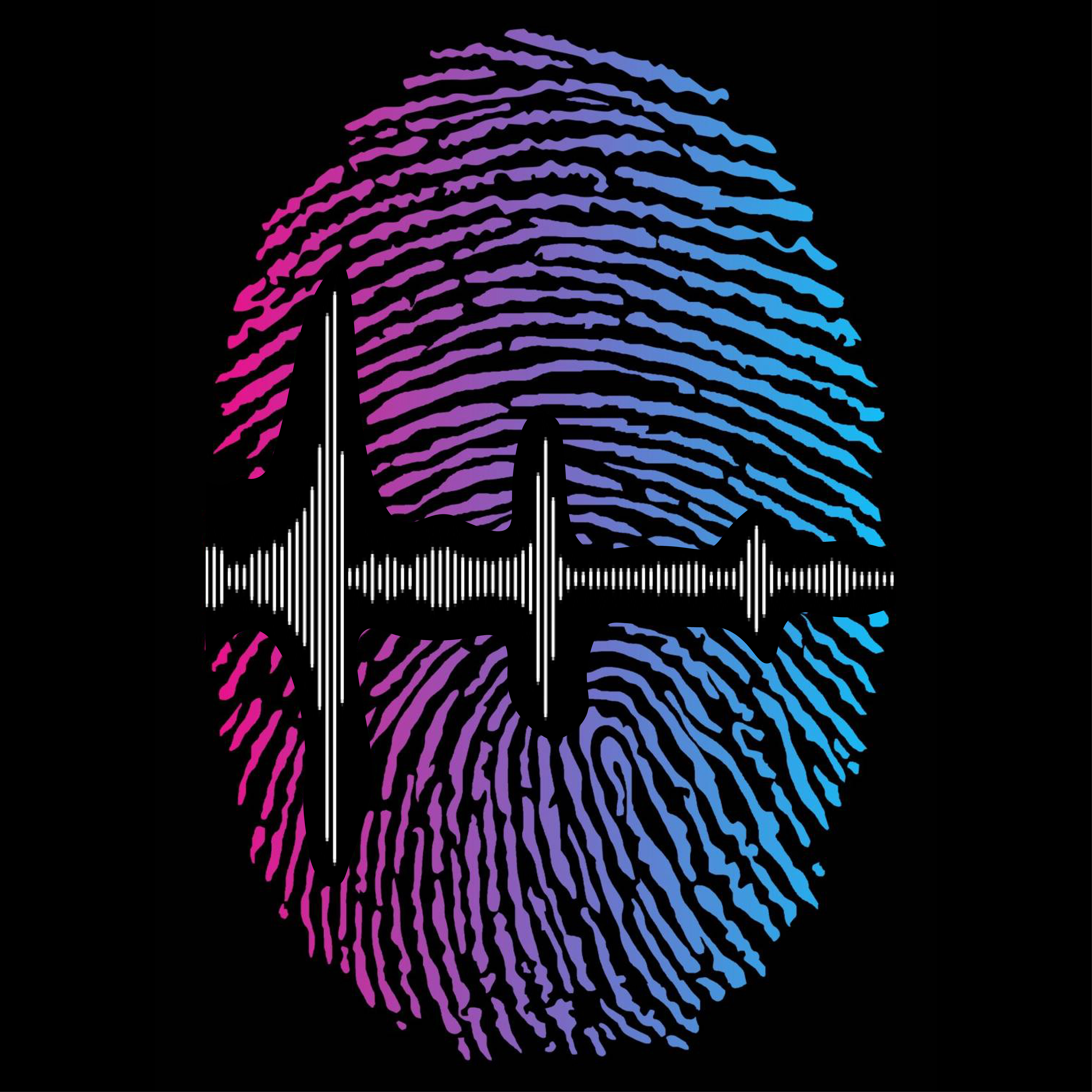 Audio Fingerprinting