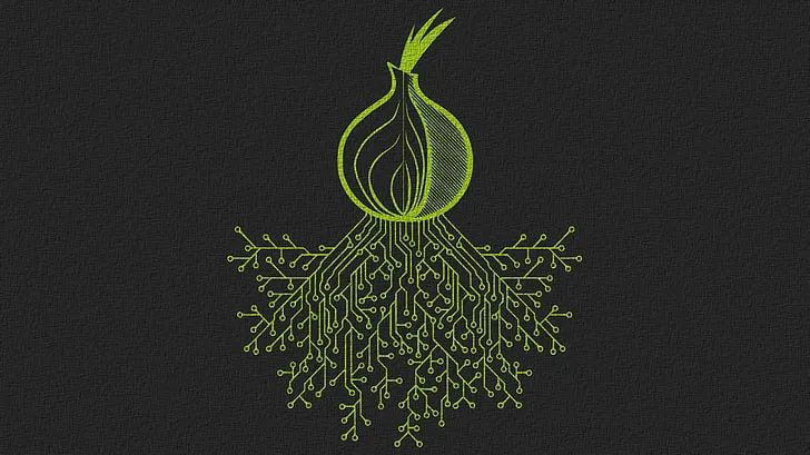 TOR: The Onion Routing Protocol